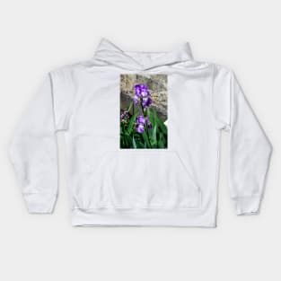 Bearded Iris in Spring Kids Hoodie